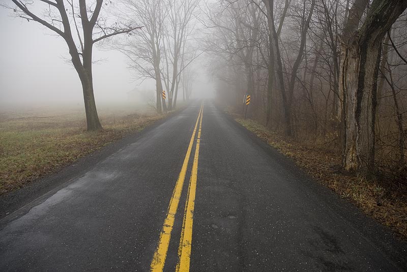 rural road on a foggy morning