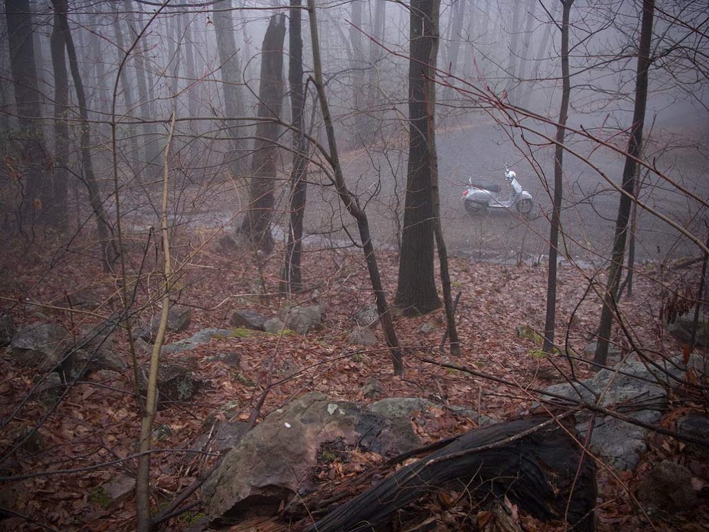 Vespa GTS scooter on a foggy morning in a forest