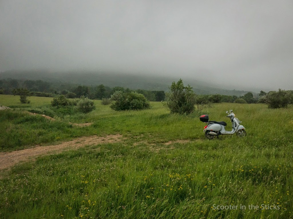 Vespa GTS scooter in a field