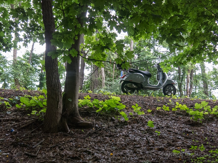 Vespa GTS 250ie in the woods.