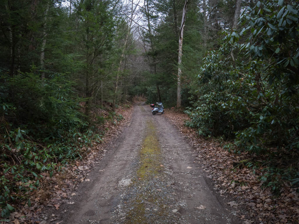 Vespa GTS on a narrow gravel forest road
