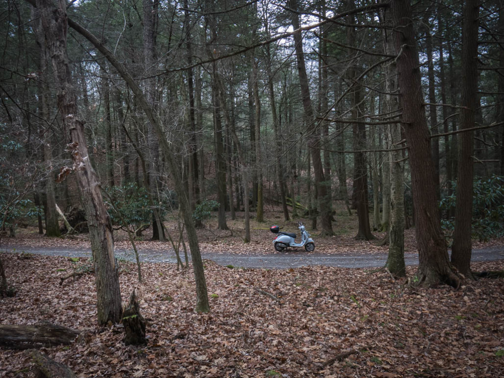 Vespa GTS scooter on a forest road