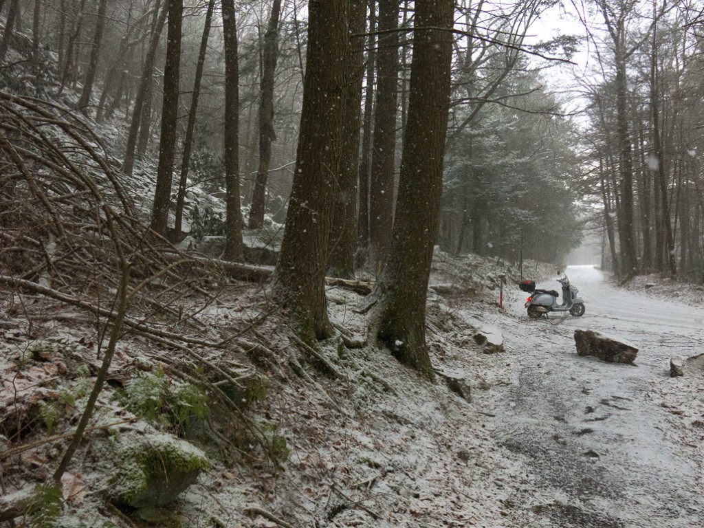 Vespa GTS scooter in snowy Rothrock State Forest