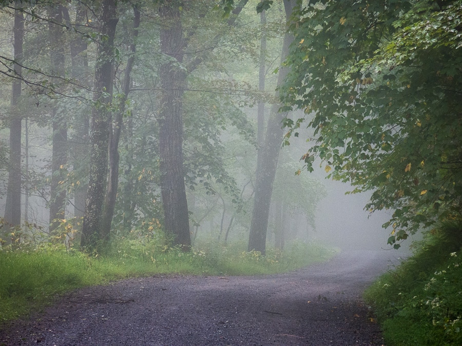 Fog on the landscape in Rothrock State Forest