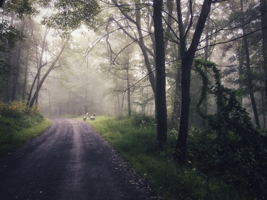 Vespa GTS scooter on a foggy forest road