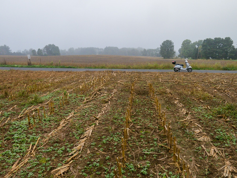 Vespa GTS scooter on a foggy ride through farmlands