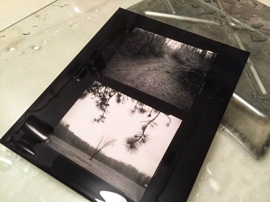 Black and white print in processing tray.