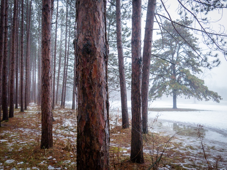 Winter scene at the Pennsylvania Military Museum