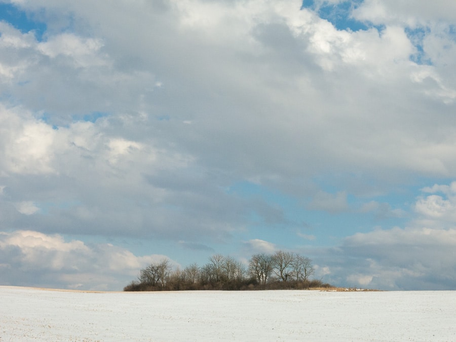 Island of trees amidst a snow covered farm field