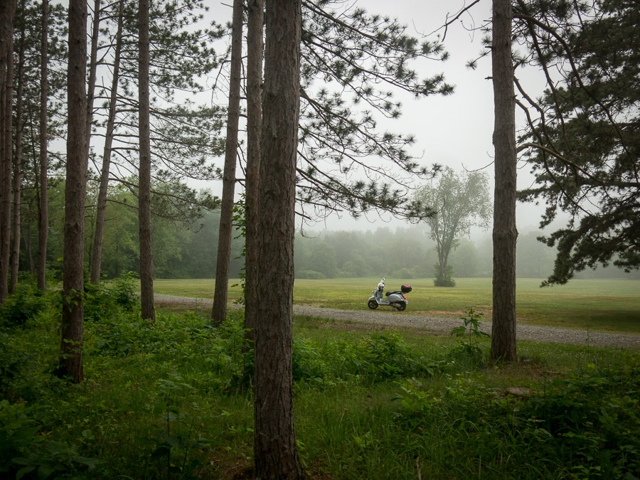 Vespa GTS in a foggy landscape of trees