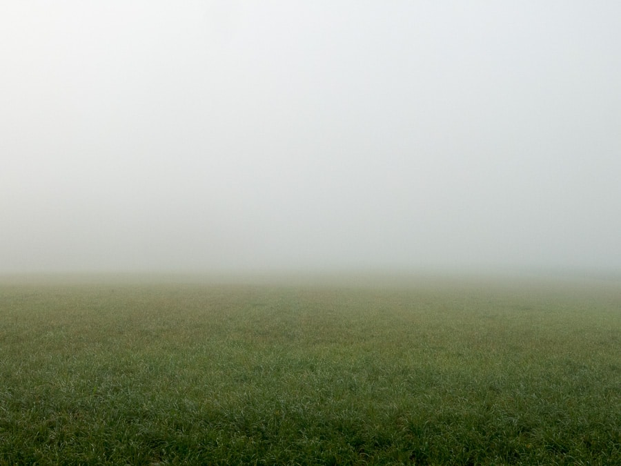 Foggy farm field