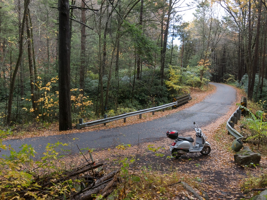 Vespa GTS scooter along a forest road in autumn.