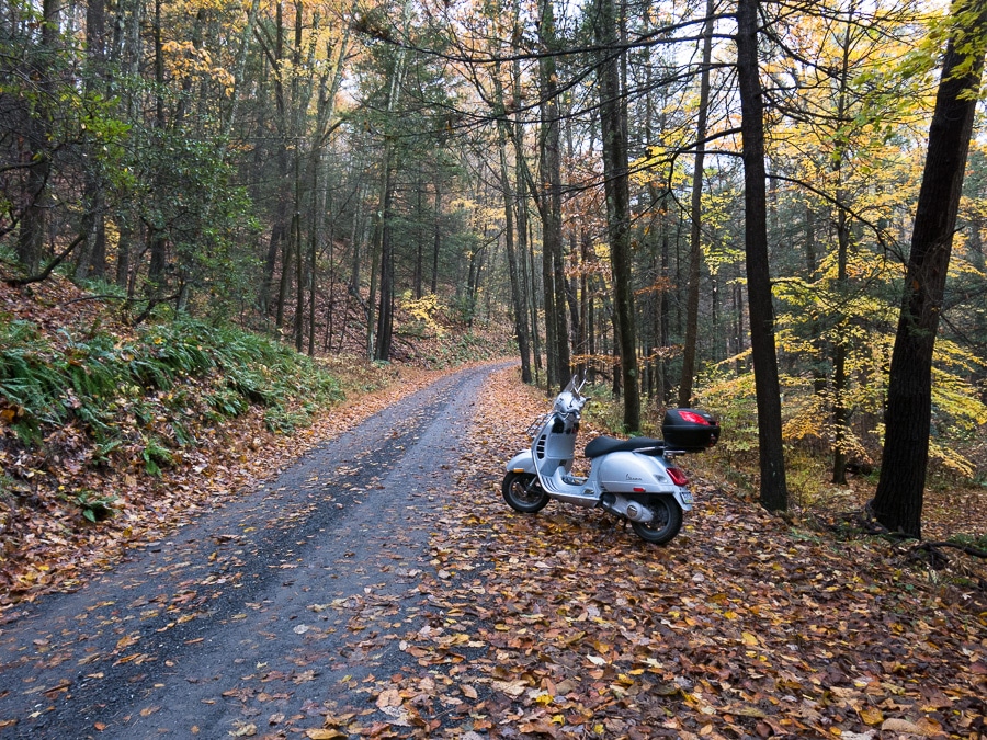 Vespa GTS on a gravel forest road in autumn