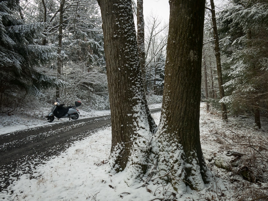 Vespa GTS scooter on a snowy day in Rothrock State Forest