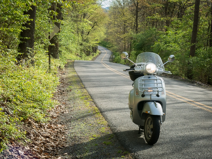 Vespa GTS scooter along a forested road.