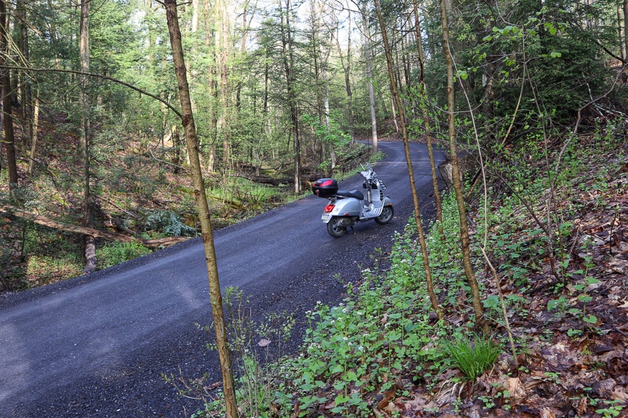 Vespa GTS scooter on a forest road.