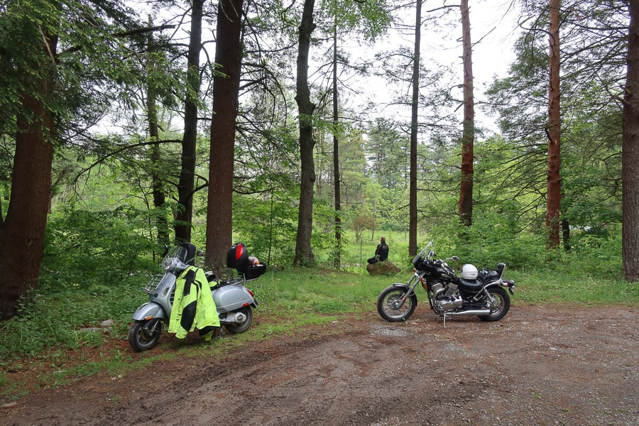 Scooter and Motorcycle parked for lunch in a woodland area.