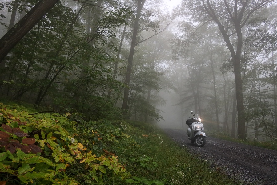 Vespa GTS scooter on foggy forest road.