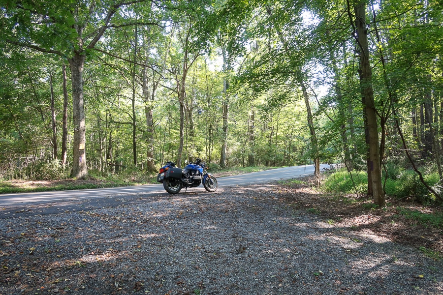 Motorcycle in the woods.