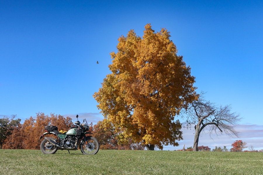 2022 Royal Enfield Himalayan and autumn foilage.