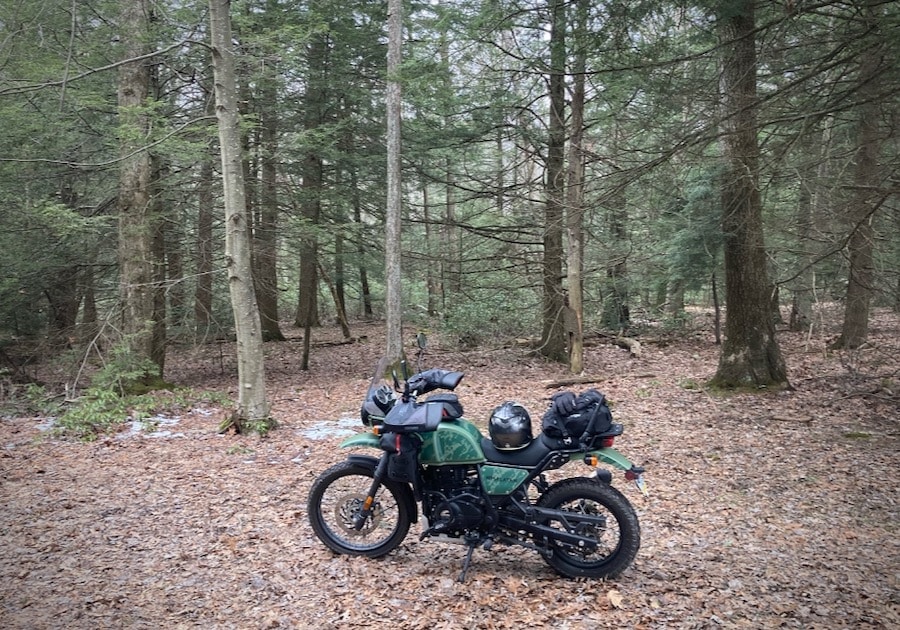 2022 Royal Enfield Himalayan in Rothrock State Forest.