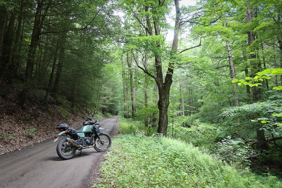 2022 Royal Enfield Himalayan on a gravel forest road.
