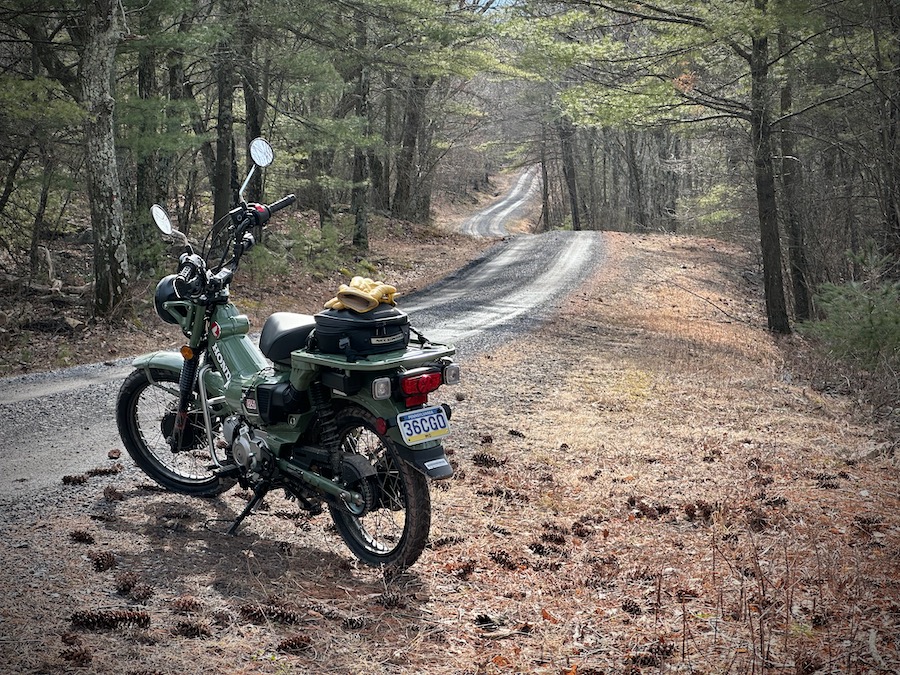 Honda Trail 125 on a forest road.