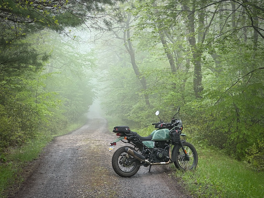 2022 Royal Enfield Himalayan on a forest road on a foggy morning.