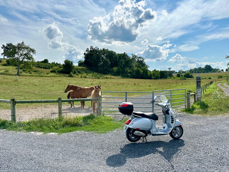 Vespa GTS scooter stopping to say hello to a horse.