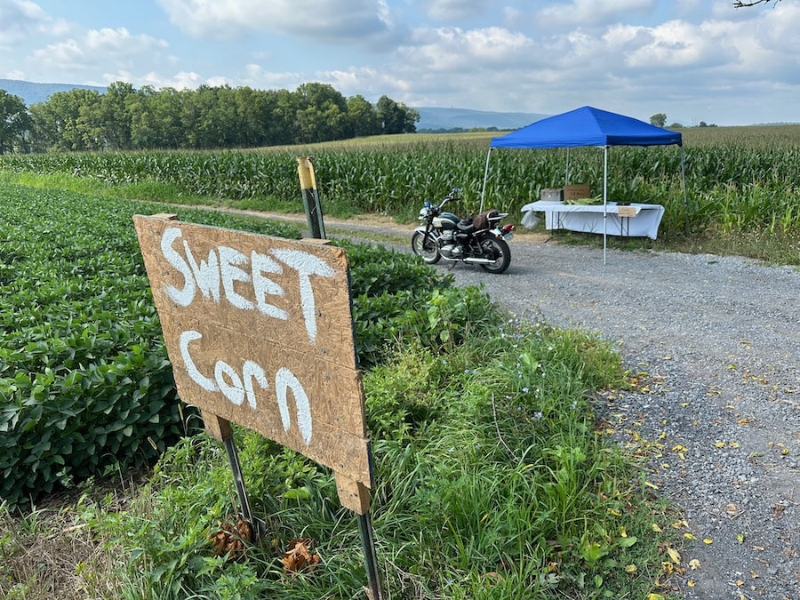 Kawasaki W650 stopped at a farm stand selling sweet corn.