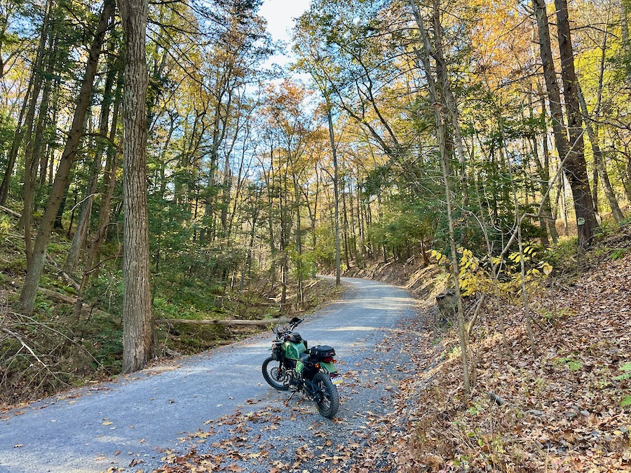 Royal Enfield Himalayan in a forest.