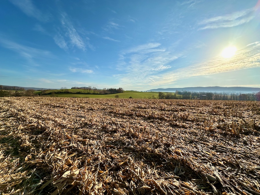 Rural agricultural landscape in dazzling autumn light.