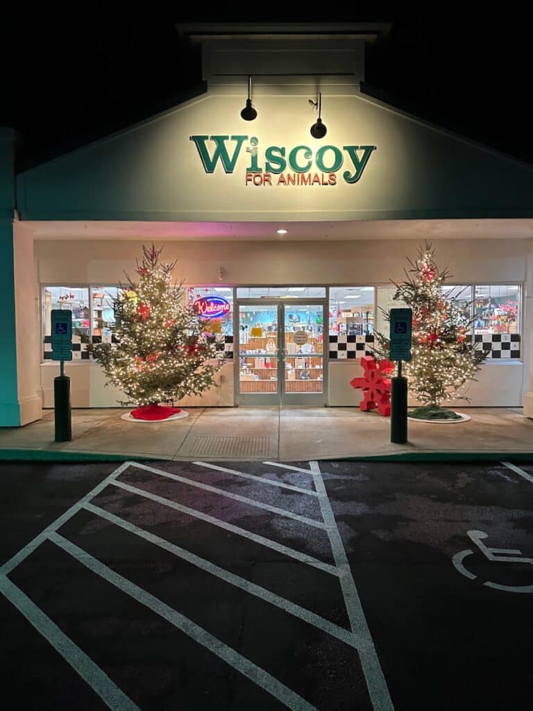 Exterior of a pet supply store at night and decorated for Christmas.