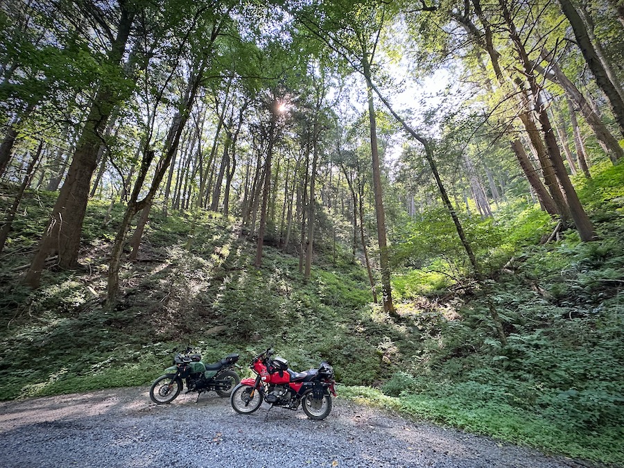 Two motorcycles in Rothrock State Forest.