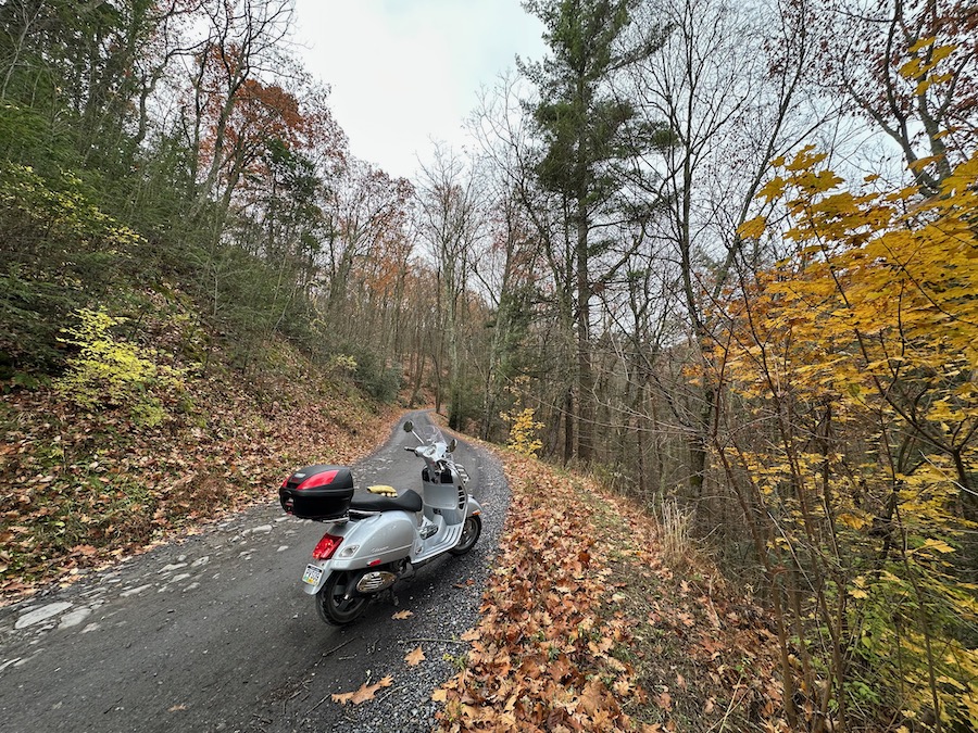 Vespa GTS along a forest road in autumn