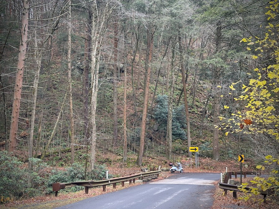 Vespa GTS scooter in Rothrock State Forest