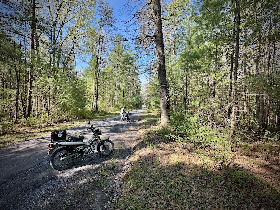 Honda Trail 125 motorcycles on a foresst road.