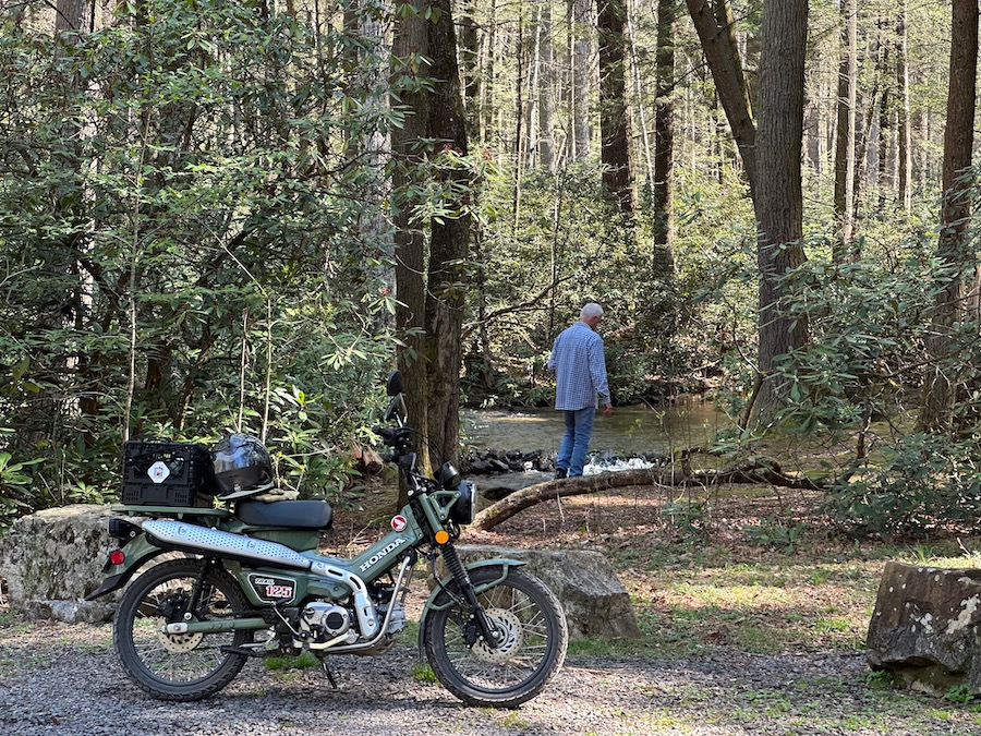 Honda Trail 125 motorcycle parked along a forest road.