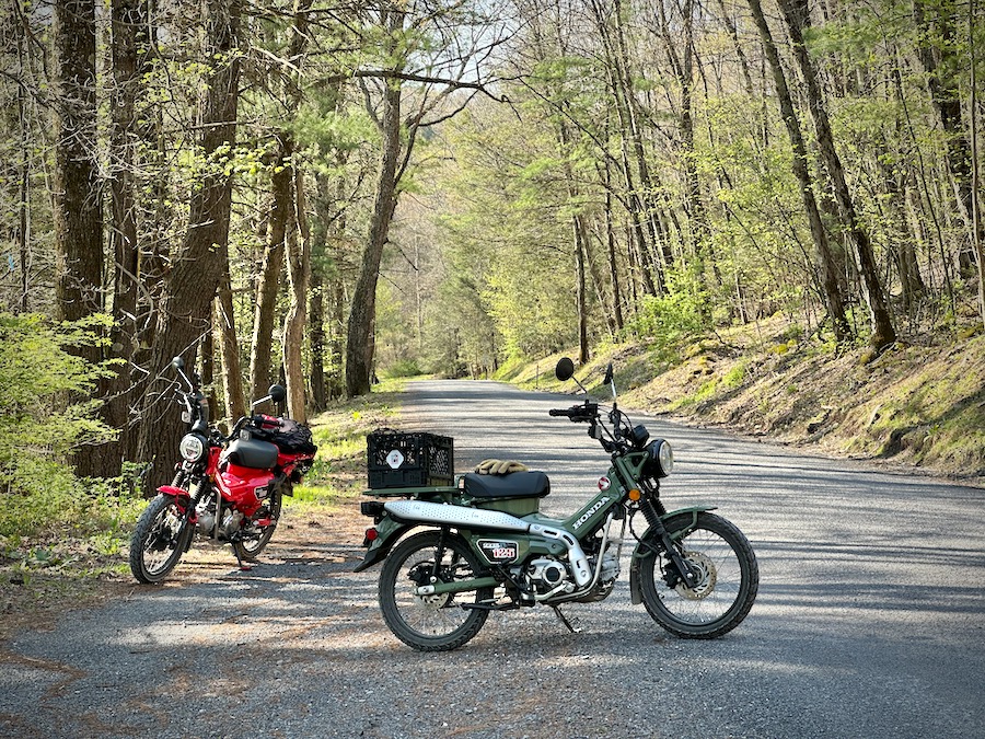 Two Honda Trail 125 motorcycles on a forest road.