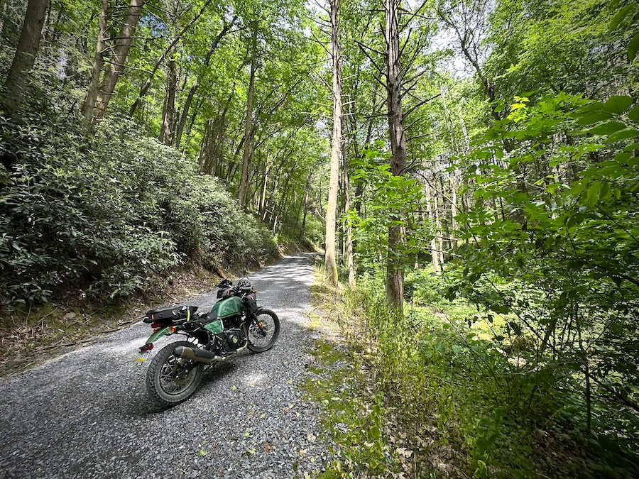 2022 Royal Enfield Himalayan motorcycle on a gravel forest road.
