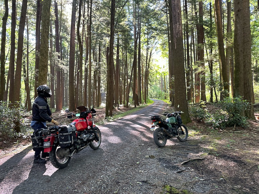 A rider and two motorcycles parked along a forest road.