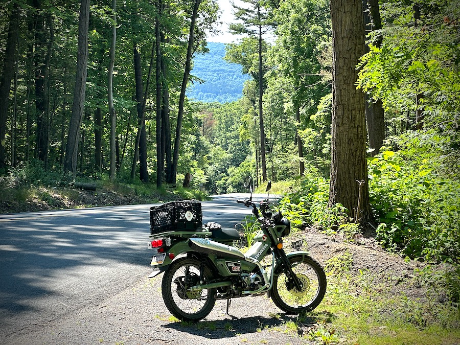 Honda CT125 parked along a road winding through a forest.