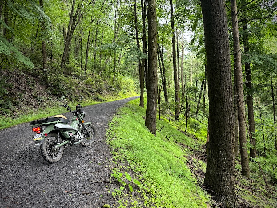 The Honda Trail 125 on a gravel road in a lush forest.