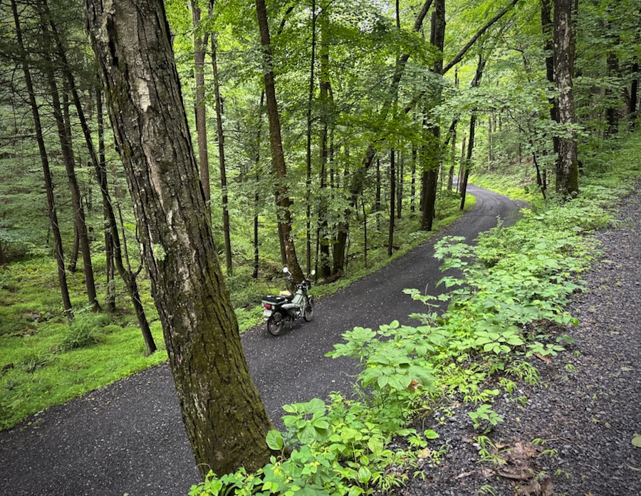 The Honda Trail 125 alone on a forest road.