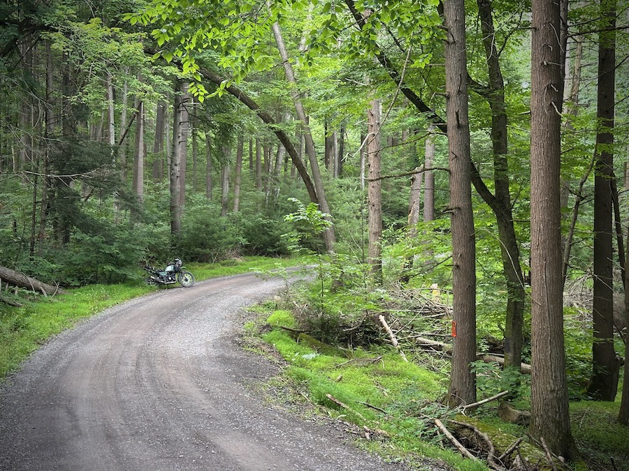 A motorcycle parked along a forest road.