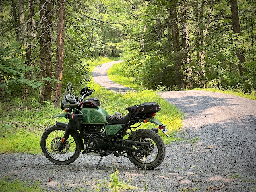 Royal Enfield Himalayan motorcycle parked on a gravel forest road.