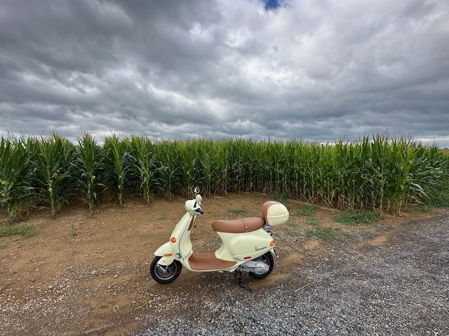 A 2005 Vespa ET4 Vespa scooter parked in front of a corn field.
