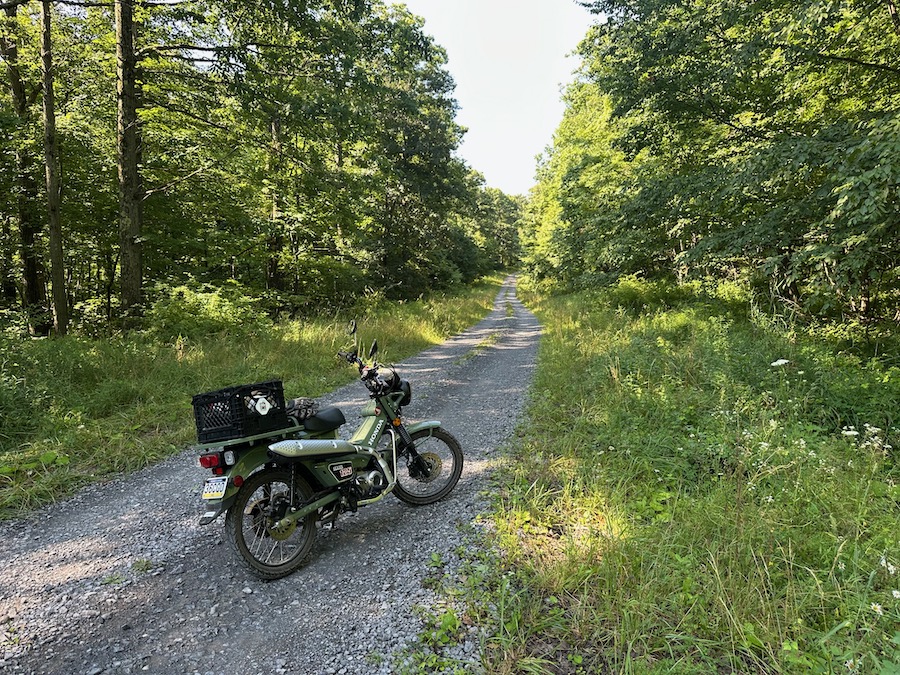 A Honda Trail 125 motorcycle on a gravel forest road.