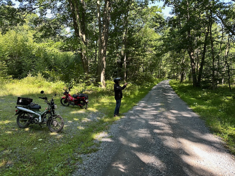 Two Honda Trail 125 motorcycles parked along a forest road.