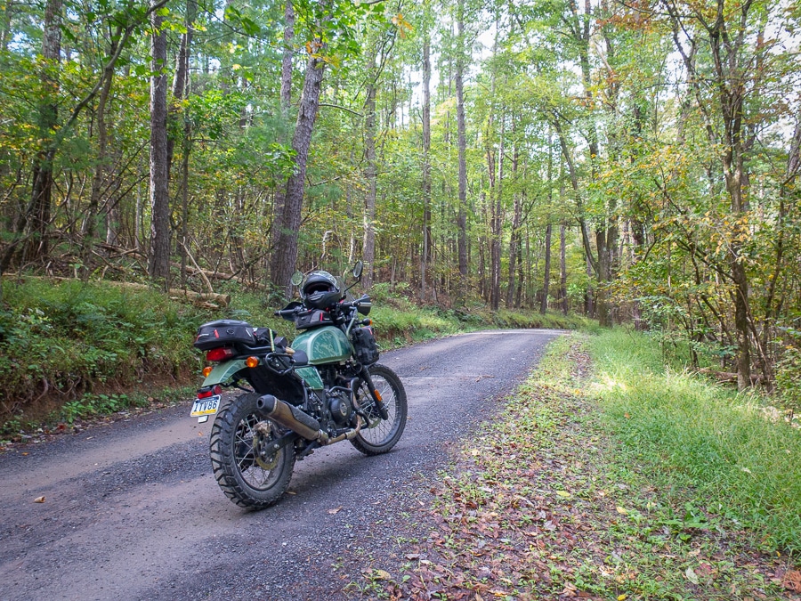 A Royal Enfield Himalayan on a gravel forest road.